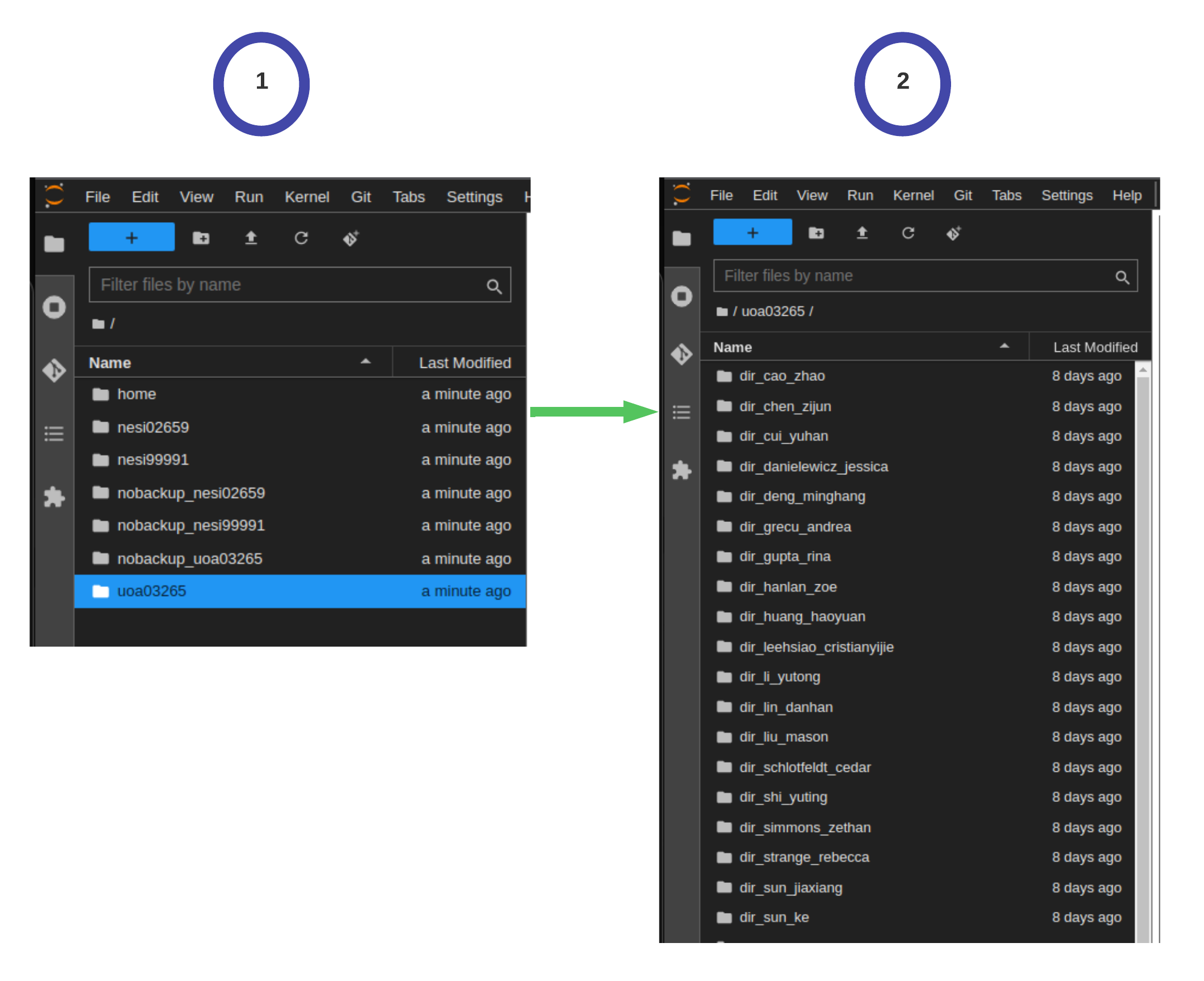 NeSI File system BIOSCI701 NeSI Setup & Jupyter Login