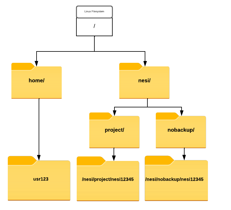 NeSI File system - BIOSCI701 NeSI Setup & Jupyter Login